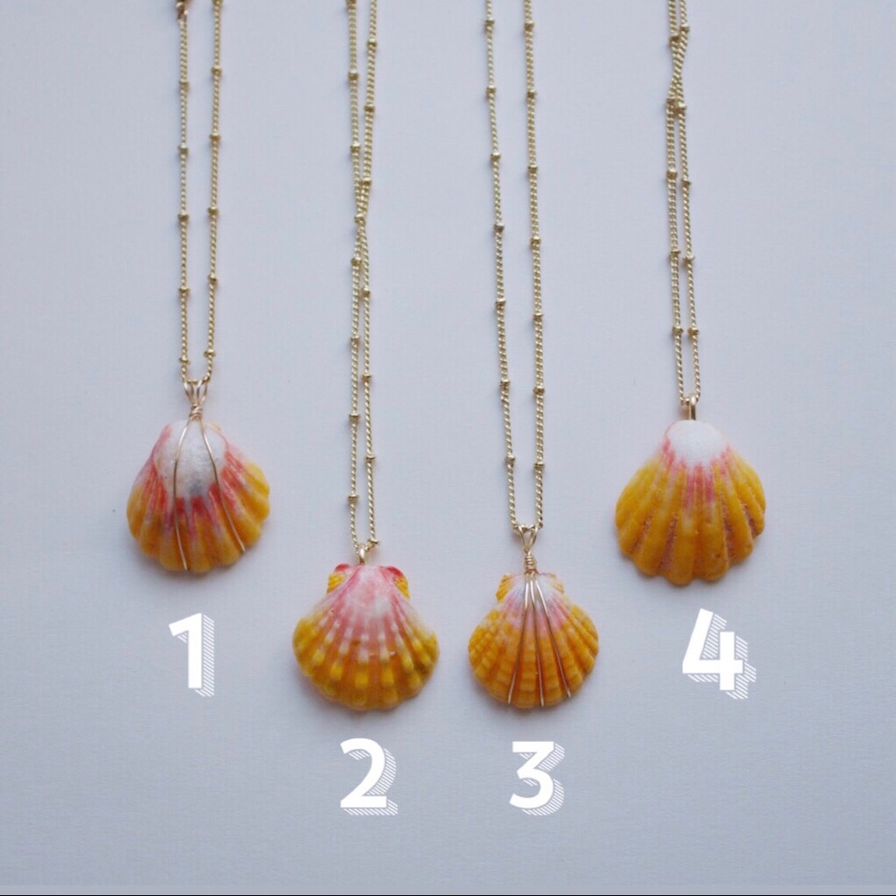 Rare Hawaiian Sunrise Shell Necklace